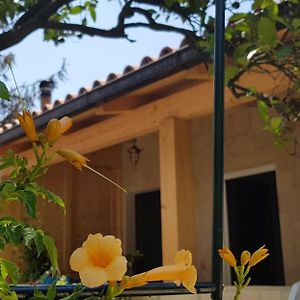 Le Tre Rose